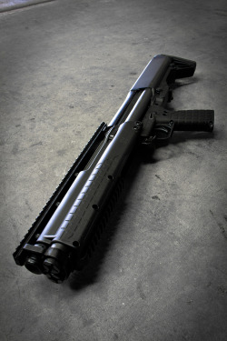 weaponzone:  Kel-Tec KSGCredit: Jaylt466 