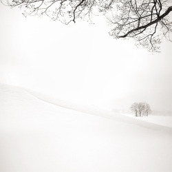 minharmoni:  iskiii:  wide white world  wonderful! 