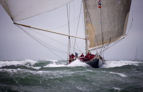 The big dogs playing in the Solent