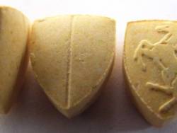 junkie-garden:  Junkie Garden - Ferrari Shields 200mg of pure