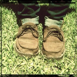 bisclavret:  #mysanuks #amazing #awesome #rad #comfortable #sanuk