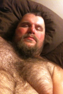 chubbyaddiction:  Oh, fuzzy is tired…