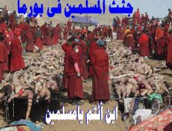 felfela:  #بورما  مجموعه بوذيه فى خريف