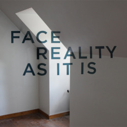 myedol:  Face Reality As It Is byThomas Quinn 