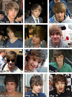  The Evolution of Liam Payne’s Hair: a tale of love & loss,