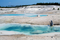 chromaticite:  Hot Springs of Porcelain Basin by Robby Edwards