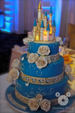 imagineerdreaming:  Our-wedding-cake by disneyrob on Flickr.
