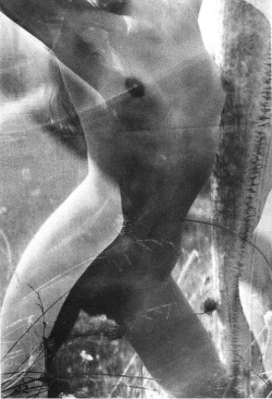 mrxdupontneuf:  © lucien clergue (b.1934-) // coco au grand herbier, 1975 