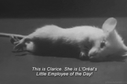  Ella es Clarice. Es la pequeña empleada del día de L’Oréal. 