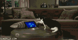 laugh-addict:  via laugh-addict  xDD