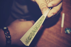 Stoners Paradise