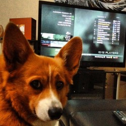 mezwhite:  Just playin some call of duty with Molly. #cod #mw3