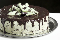 gastrogirl:  andes mint chocolate chip cake. 