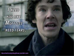 “I need you like Mofftiss need tears.”