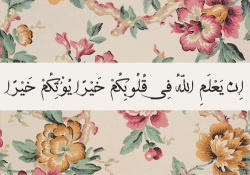 alwaysruminating:  “If Allah knows any good in your hearts,