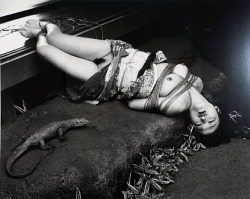 eyeytumblr:  Nobuyoshi Araki 