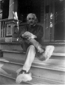 gsfsoul:    Albert Einstein in Fuzzy Slippers  how can you just