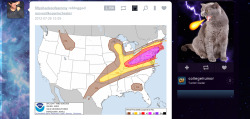 ravercat:  news flash: cat shooting fireballs creates super storm