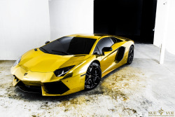 automotivated:  Gold Aventador AU79 (by Nue Vue Photography)