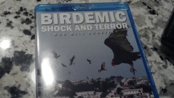 saneintolerant:  So I got my blu-ray of Birdemic: Shock and Terror