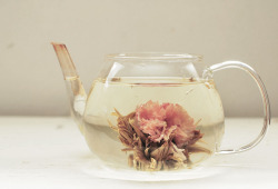lettersnowhere:  Strawberry Misaki Blooming Tea at Teavana I
