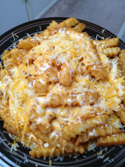 mishmash:Live your best life cheese fries.