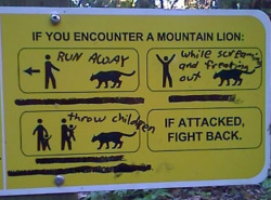 stuffgoingviral:  If you encounter a mountain lion. How to render