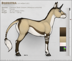 Equustra Non-morphic Reference by *ecmajor unicorns amongus