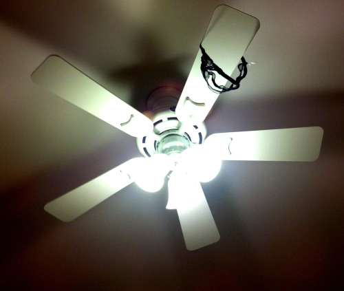 greekcouple:  Thong removed and thrown to a ceiling fanâ€¦ ready to go out 