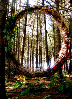 chasingthegreenfaerie:  Portal Through The Woods by ~Asphodel-Foxx