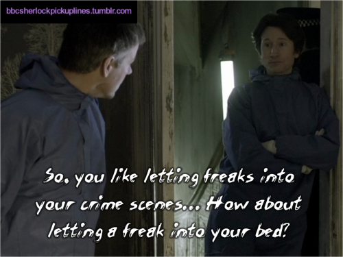 “So, you like letting freaks into your crime scenes… How about letting a freak into your bed?”