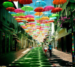  Umbrella Installation in Agueda, Portugal 