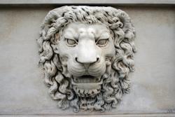  Lion head. relief.     