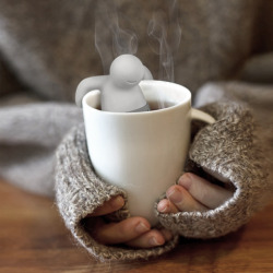 inspirezme:  Meet Mister Tea he is an ideal tea-time companion.