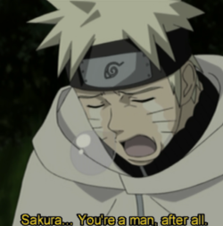 THIS.  THIS.  Was absolutely the most perfect sentence Naruto