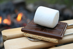 just had smores!