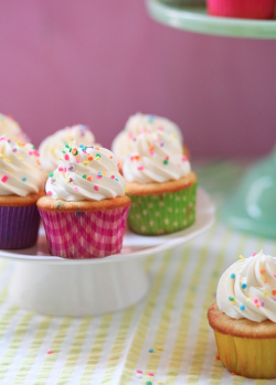 gastrogirl:  homemade funfetti cupcakes. 