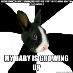 fyeahroleplayingrabbit:  It warms the heart to see (: 