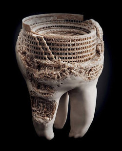  A sculpture of the Roman Colosseum, done in a real tooth. 