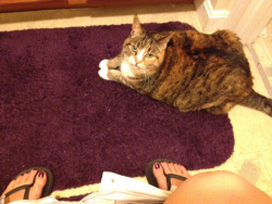 couragetobefree:  Sheâ€™s confused about the strange noises coming from the toilet so I had to reassure her that there wasnâ€™t a small T-Rex clawing its way out of my rectum.  love that angle , by the way nice feet in flip flops (fetishfusion) lol 