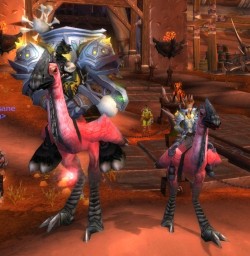 weheartwow:  misszae:  also why can’t I ride Tauren sized things