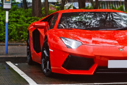 rroys:  Lamborghini Aventador LP700-4 (by - Icy J -) 