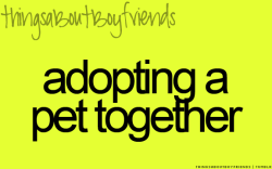 Things About Boyfriends