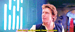 bonniegrrl:  You said it, Chewie! 