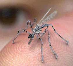 hatethefuture:  Poll: Would You Swat A Surveillance Insect That