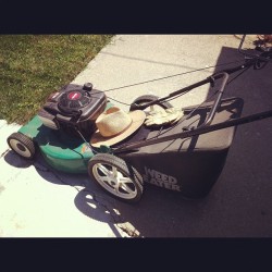 Essentials for cutting the grass. #instaphoto #yardwork  (Taken