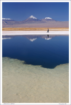 handa:  Laguna Cejar, a photo from Antofagasta, Norte Grande