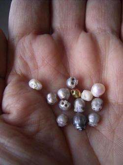  Perfectly carved, tiny skulls made from pearls. Artist: Shinji