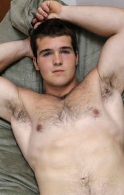 daviebear:    Follow BearForest.com on Tumblr Follow DavieBear.com on