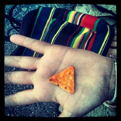 Baby Dorito :) (Taken with Instagram)